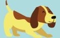 Köpek Taşıma Çantaları